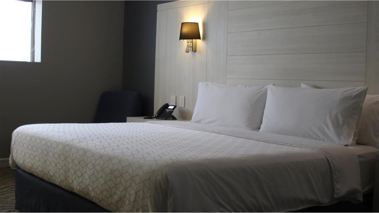 Holiday Inn Express Pachuca By Ihg Exterior foto